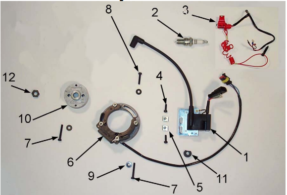 2012 Cobra 50CC Auto Engine Electrical System